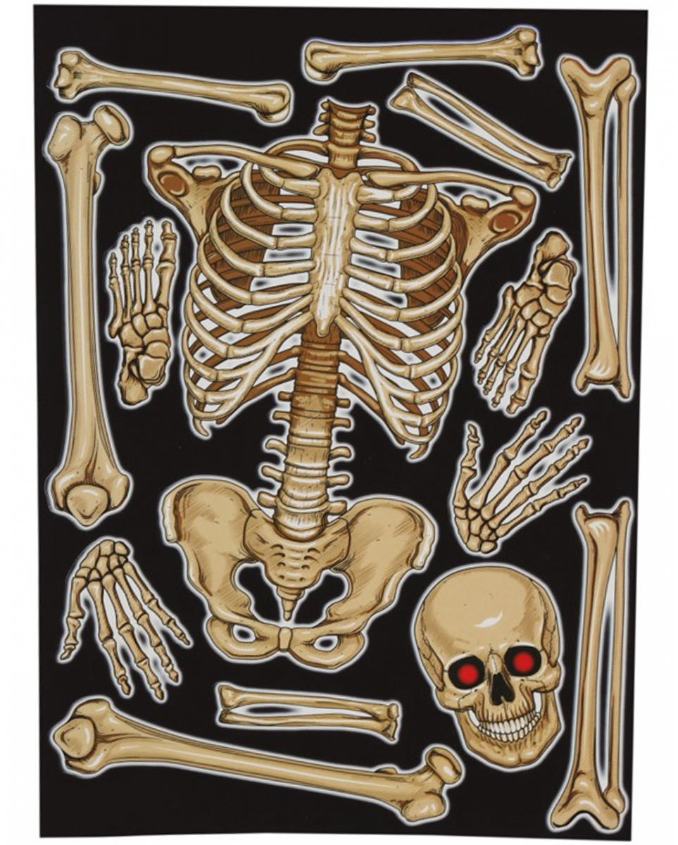 Fenster Dekoration Skelett 30x40 cm 1 Fenster Dekoration Skelett 30x40 cm