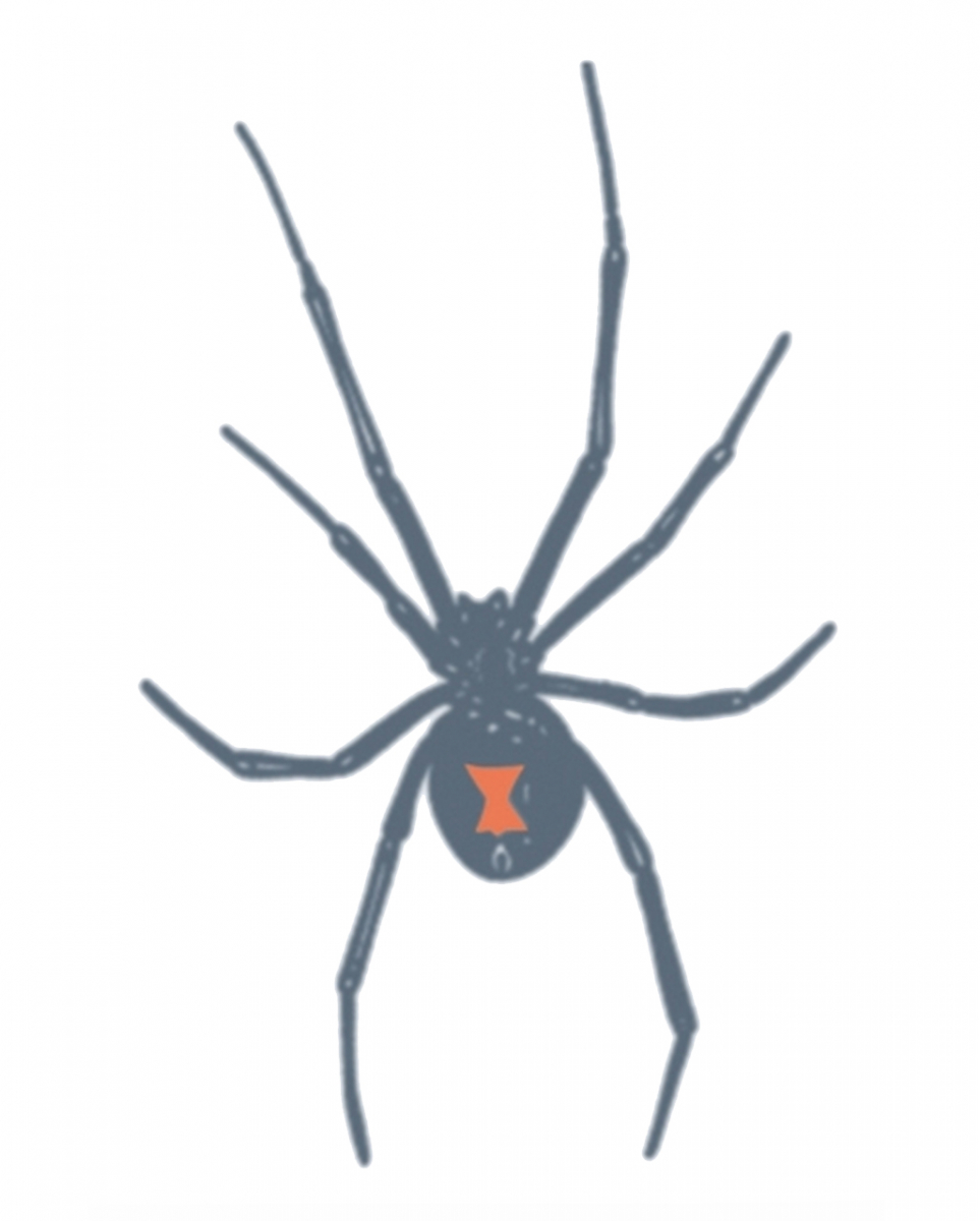 Knast Klebetattoo Schwarze Witwe 1 Knast Klebetattoo Schwarze Witwe