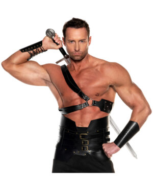 Krieger Schwerthalter für den Rücken