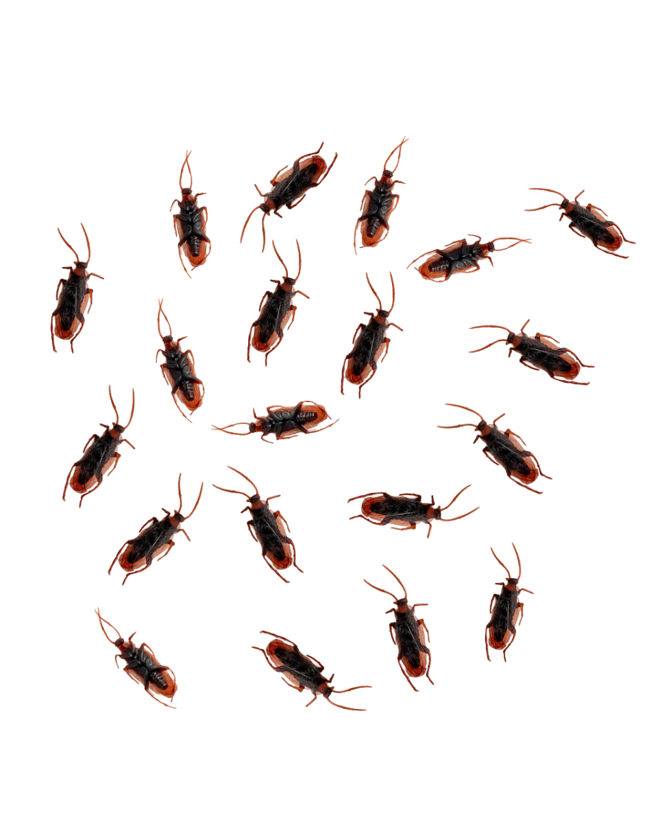 Realistische Kakerlaken aus Vinyl 12 St. 1 Realistische Kakerlaken aus Vinyl 12 St.