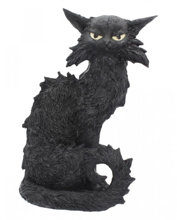 Salem Hexenkatze 32