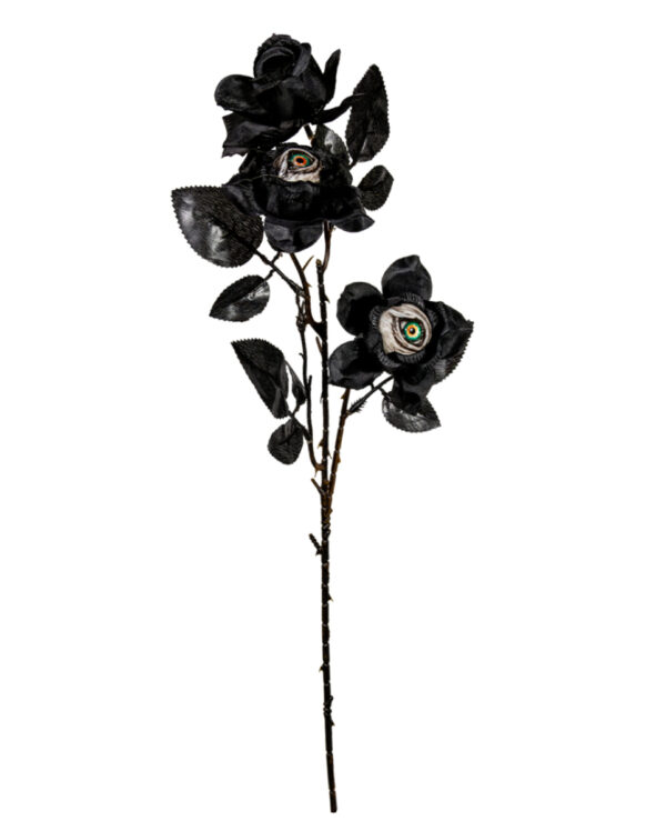 Schwarzer Rosenzweig mit 2 Augen 64cm