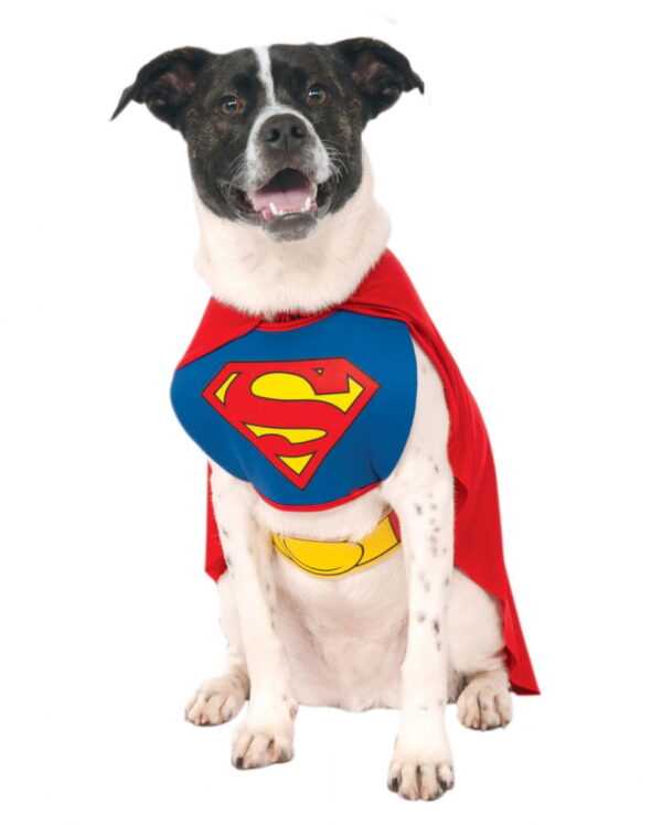 Superman Hunde Kostüm M für Fasching