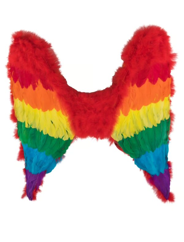 Kostümzubehör Engelsflügel regenbogen mittel 57x52cm Farbe: bunt