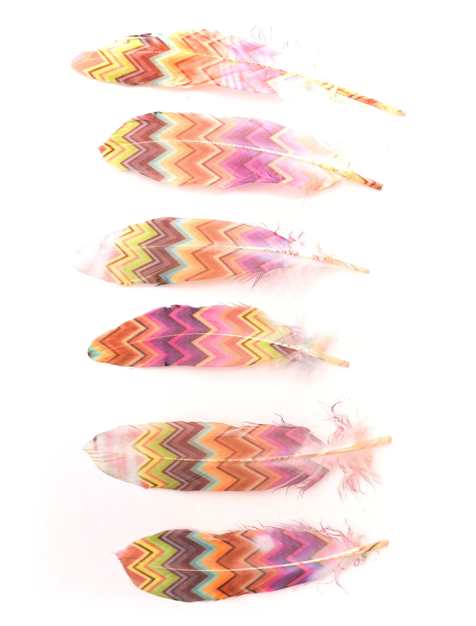 Kostümzubehör Indianerfeder bunt 3 Stk. Farbe: mehrfarbig 1 Kostümzubehör Indianerfeder bunt 3 Stk. Farbe: mehrfarbig