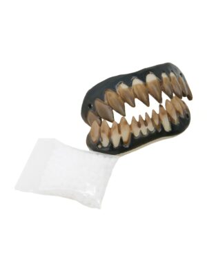 Kostümzubehör Zähne Werwolf weiß