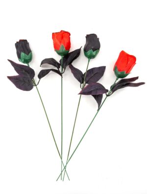Rosen 4 Stück Farbe: schwarz/rot