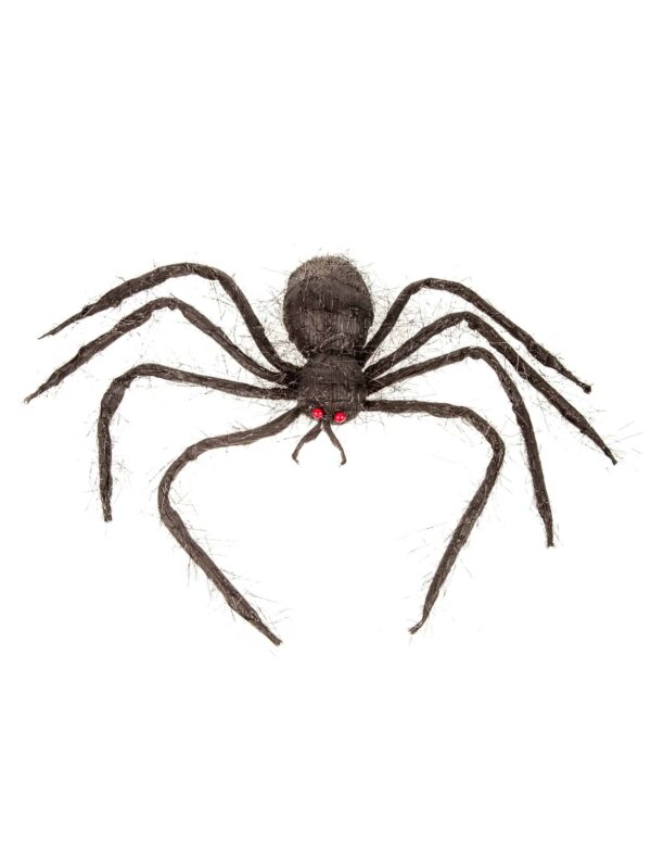 Spinne 50cm Farbe: schwarz