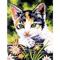 Malen nach Zahlen mit Acrylfarben "Katze"