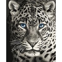 Malen nach Zahlen auf Leinwand "Leopard"