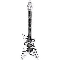 E-Gitarre "Black & White"