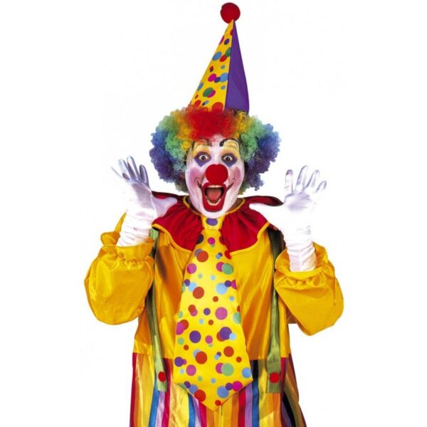 verkleidungsset clown