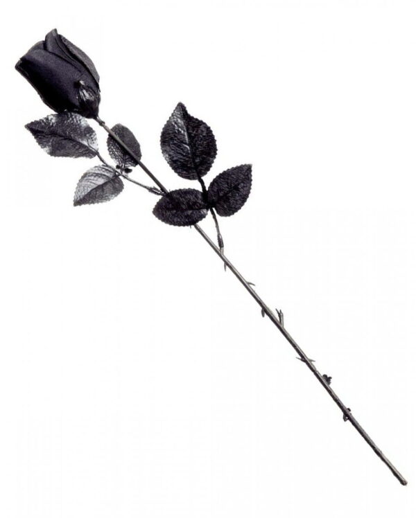 schwarze kurzstielige Rose für Halloween