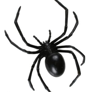 Große Schwarze Witwe  Die Grusel-Spinne für deine Horror-Party