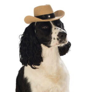 Cowboy-Hut für Hunde & Katzen  Tier Kostüm-Accessoires online kaufen M/L