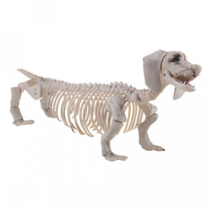 Dackel Skelett aus Kunststoff als Halloween Deko