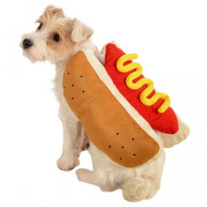 Hundekostüm Hot Dog als Haustier Verkleidung L