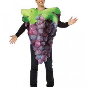Blaues Weintrauben Kostüm zum Faschingszug