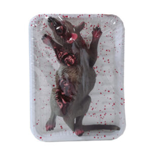 Blutige Ratte in Frischhalte Folie als Gruseldeko ➔