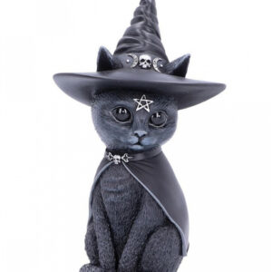 Mystische Katzenfigur mit Hexenhut für ?