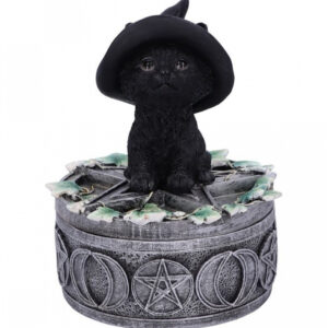 Schwarze Hexenkatze auf Pentagramm Box 15cm kaufen