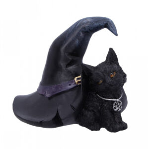 Schwarzes Kätzchen mit riesigem Hexenhut 10