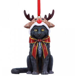Katze mit Rentiermütze Weihnachtskugel 9cm ordern ★