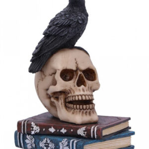 Rabe auf Totenkopf Gothic Figur 10cm  Skull Deko