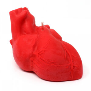 Rote Anatomische Herz Kerze online bestellen ✓