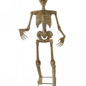 Spooky Skelett Halloween Animatronic 150cm ★
