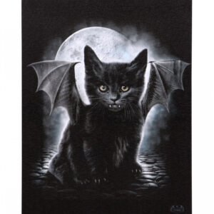Bat Kitty Bild auf Leinwand 19 x 25 cm  Wanddeko