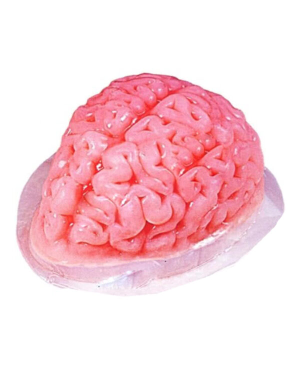 gehirn puddingform brain puddingform gelatine mold jiggle wiggle 24948