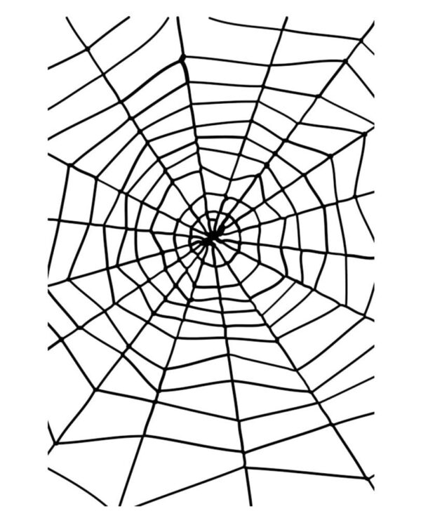 Spinnennetz schwarz mit Spinne als Party Dekoration