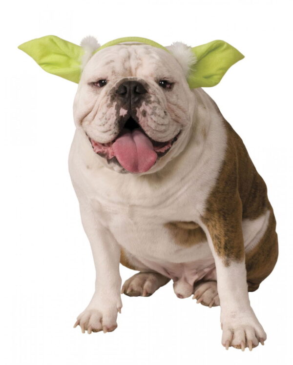 Hunde & Katzen Haarreif mit Yoda Ohren ★ Star Wars M/L