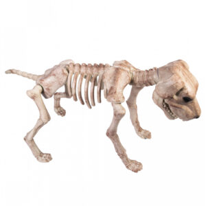 Skelett Hund Halloween Deko bestellen ?