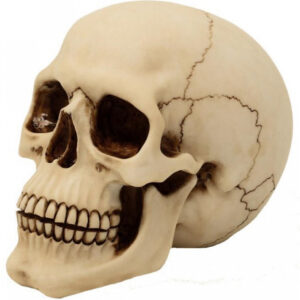 Graveyard Totenschädel Large  Polyresin Skull