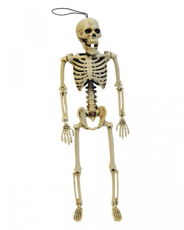 Skelett Figur positionierbar 35cm ➔ Gruseldeko ?