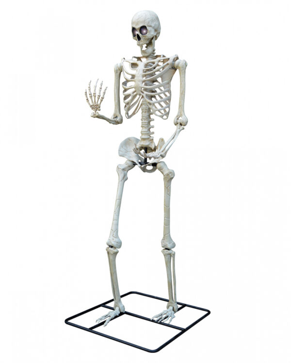 Gigantisches Halloween Skelett 3 Meter für Halloween