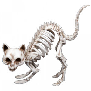 Skelett Katze mit Katzenbuckel als Deko 19cm ?
