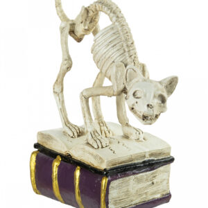 Skelett Katze auf Büchern 17