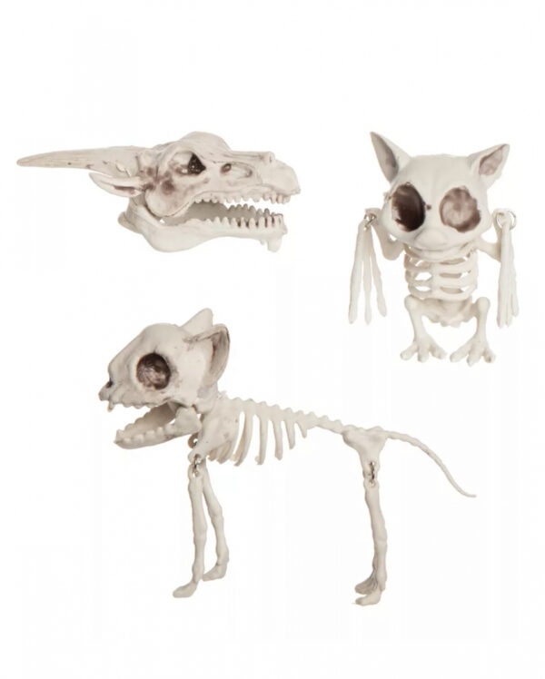 3 St. Tier Skelette im Netz für Halloween