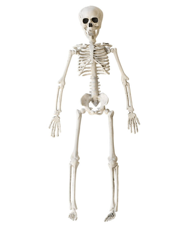 bewegliches halloween skelett possable halloween skeleton kunststoff skelett 40cm 37967 01