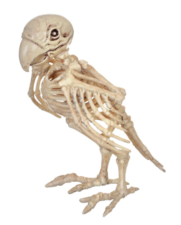skelett papagei skeleton parrot halloween dekoration 52638 01