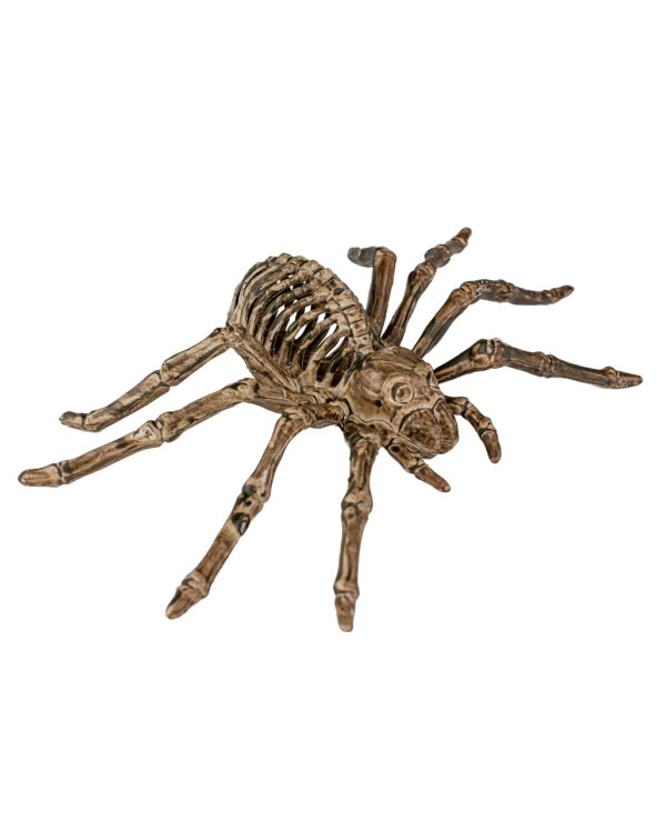 skelett spinne als halloween deko halloween und horror deko skeleton spider decor 35975 02