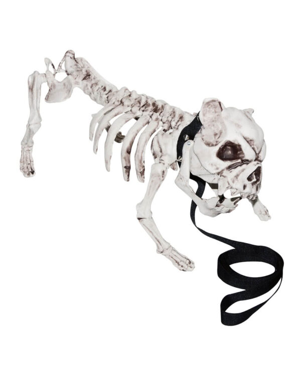 skelett hund tote deko bulldogge halloween dekoration 22214
