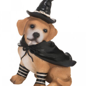 Labrador in Hexen Verkleidung 13cm für Halloween