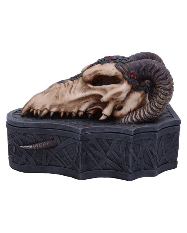 dragon skull totenkopf box drachenschaedel schatulle dragon skull box gothic deko 54194 01