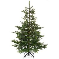 Hochwertiger Tannenbaum